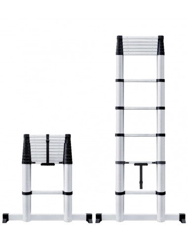 ESCALERA TELESCOPICA 320 CM